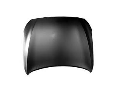 Kona 2024-2025 კაპოტი